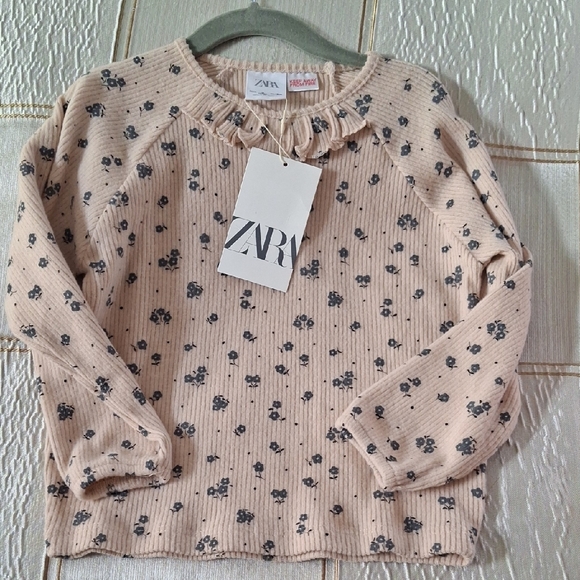 Zara Other - Zara Kids Floral Beige Sweater